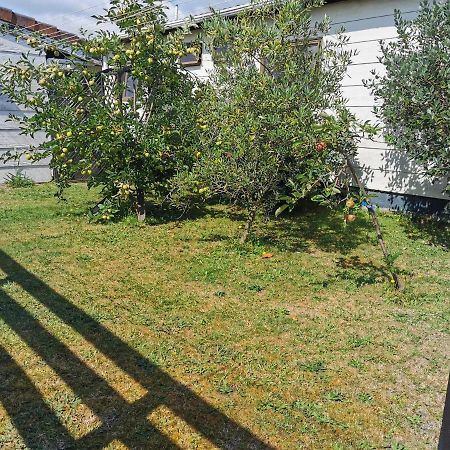 Gibson Court Motel Ροτόρυα Εξωτερικό φωτογραφία